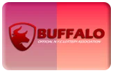 Logo buffalo4d